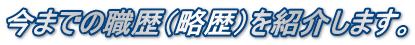 今までの職歴（略歴）を紹介します。