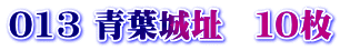 013 青葉城址　１０枚