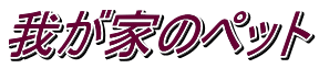 我が家のペット