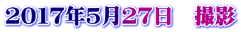 ２０１７年５月２７日　撮影